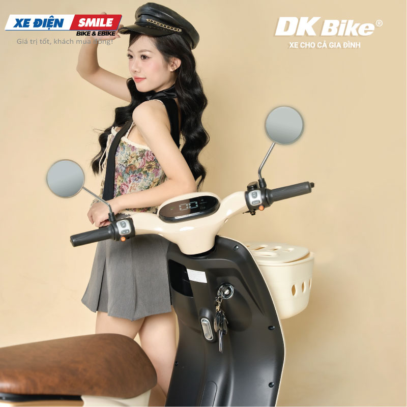 bảo dưỡng xe DKBike Ez1