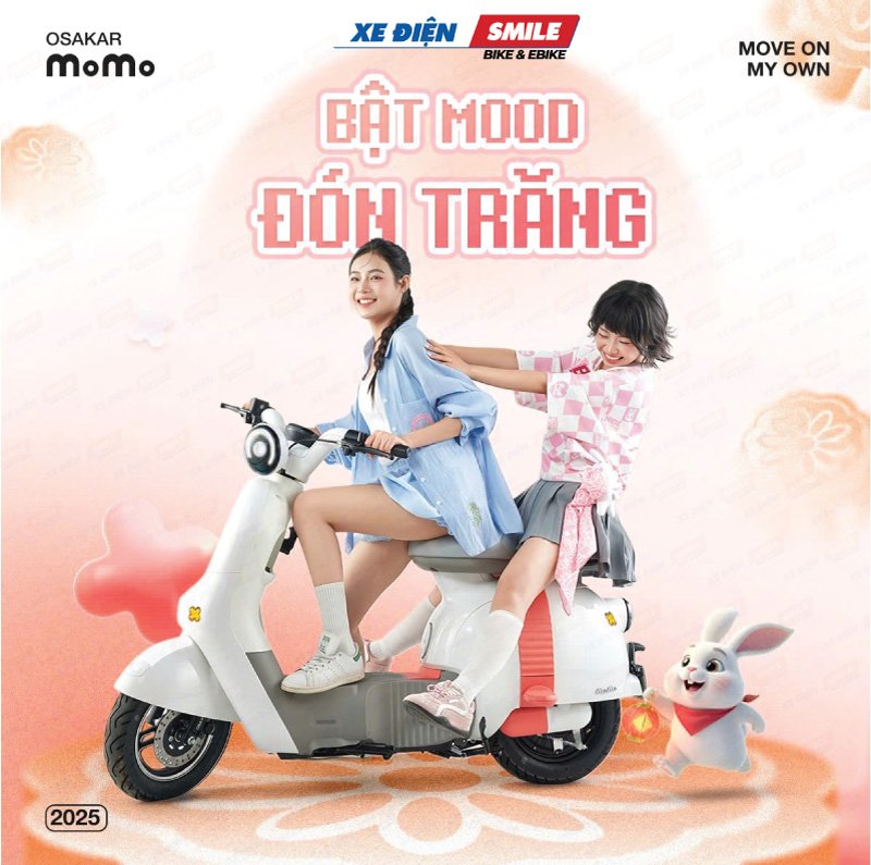 Xe máy điện 15 triệu phù hợp với ngân sách người dùng