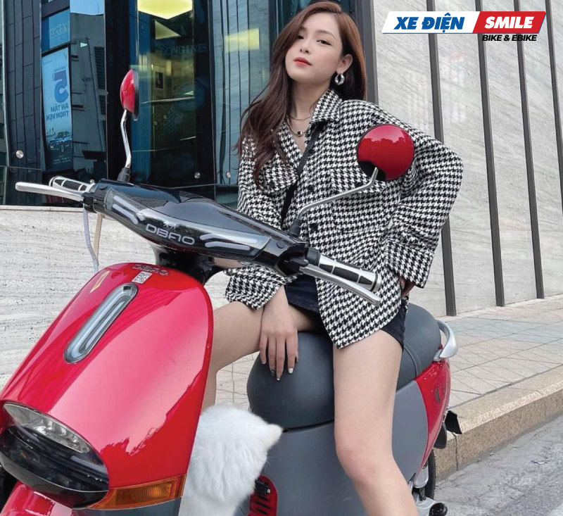 Giới thiệu chung về xe máy điện Dibao Gogo