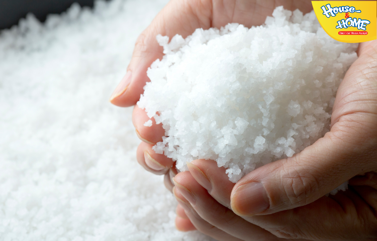 Sử dụng muối trắng để lau cửa kính