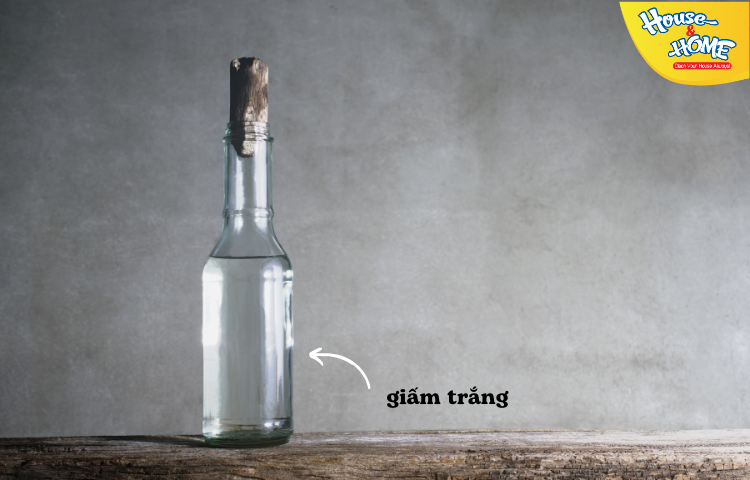 Sử dụng giấm để lau cửa kính