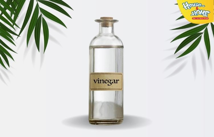 Tẩy quần áo màu bằng giấm trắng