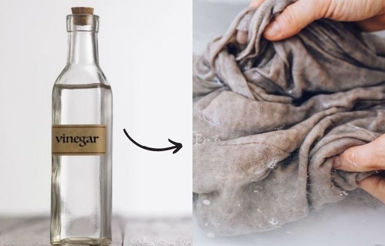 Tẩy vết mốc bằng giấm