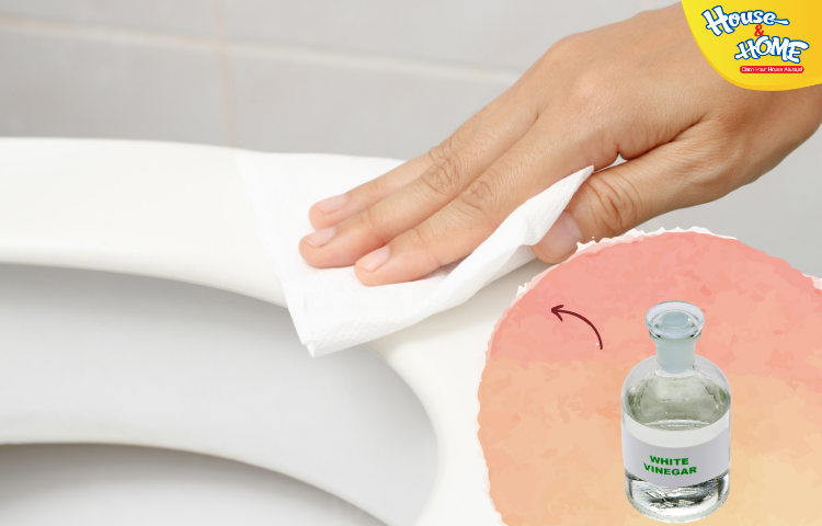 Sử dụng giấy vệ sinh và giấm để tẩy bồn cầu