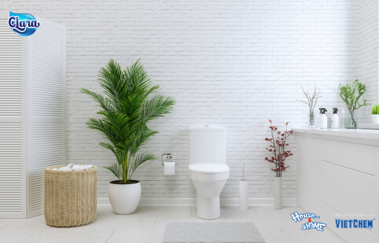 Nếu bạn yêu thích để cây xanh trong nhà thì không thể bỏ qua bí kíp này.