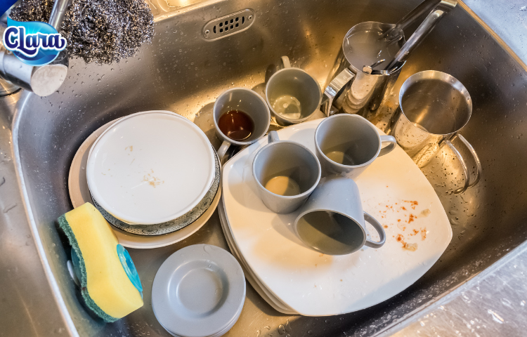 Bồn rửa bát bẩn là ổ chứa của nhiều vi khuẩn gây bệnh