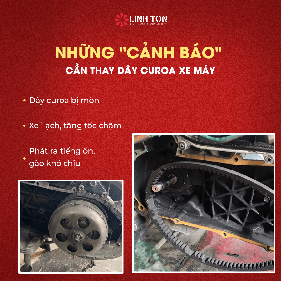 Những cảnh báo đã đến lúc bạn nên bảo dưỡng/thay dây curoa