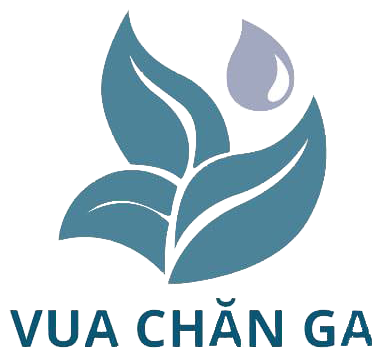 Vua chăn ga - Nâng niu từng giấc ngủ