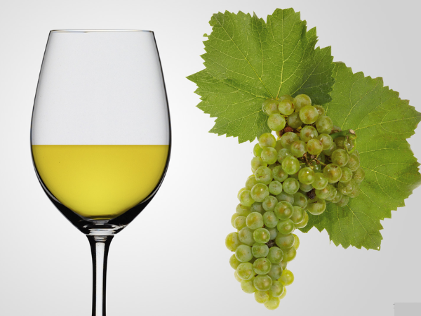 Rượu vang chardonnay
