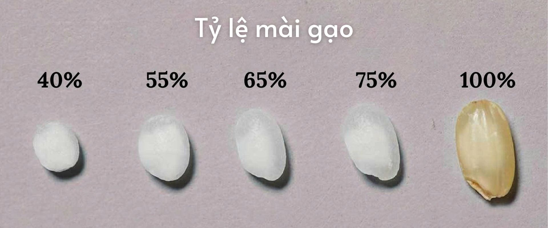 Tỷ lệ mài gạo làm rượu Sake