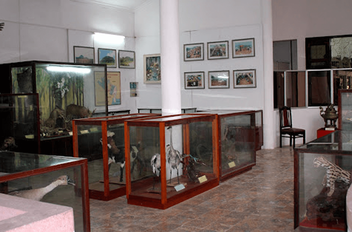 Bảo tàng Ninh Bình