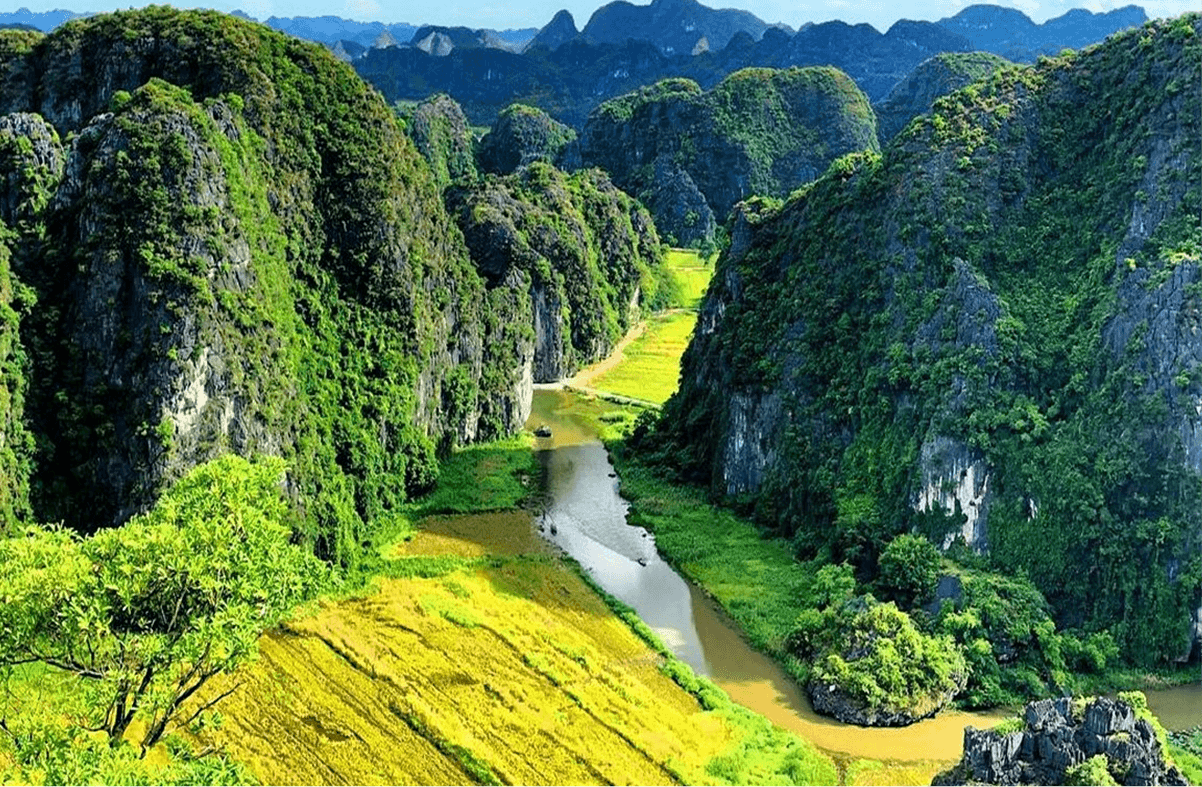 Bức Họa Khổng Lồ