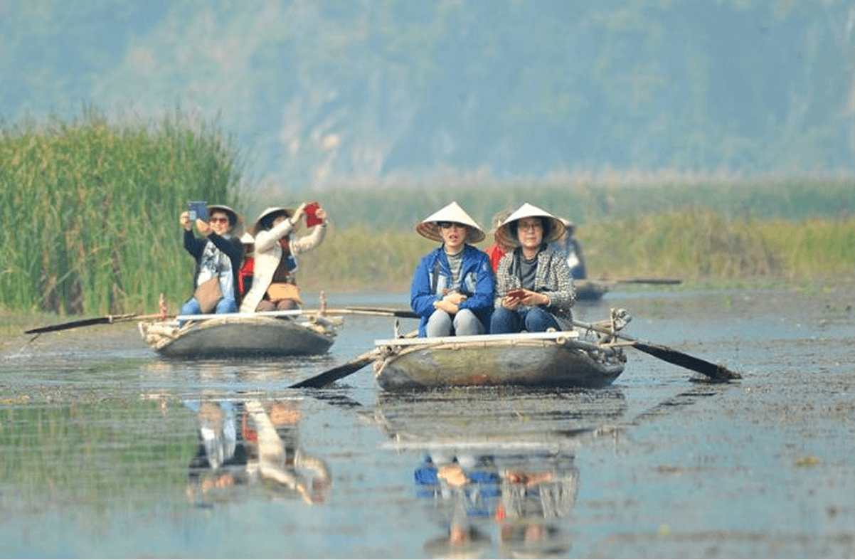 Dạo thuyền khám phá rừng ngập mặn