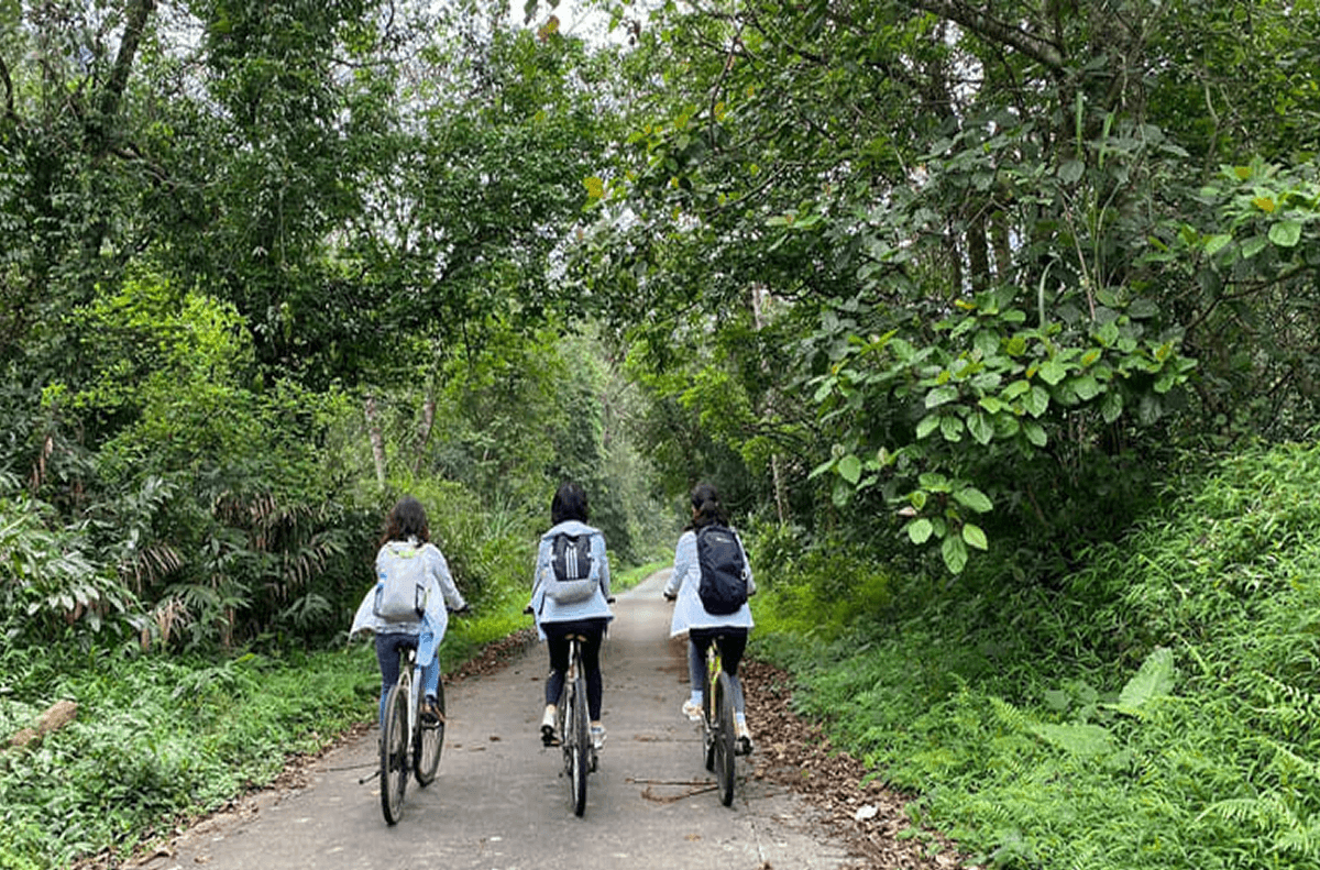 Đi bộ hoặc đạp xe khám phá rừng nguyên sinh Vườn Quốc Gia Cúc Phương