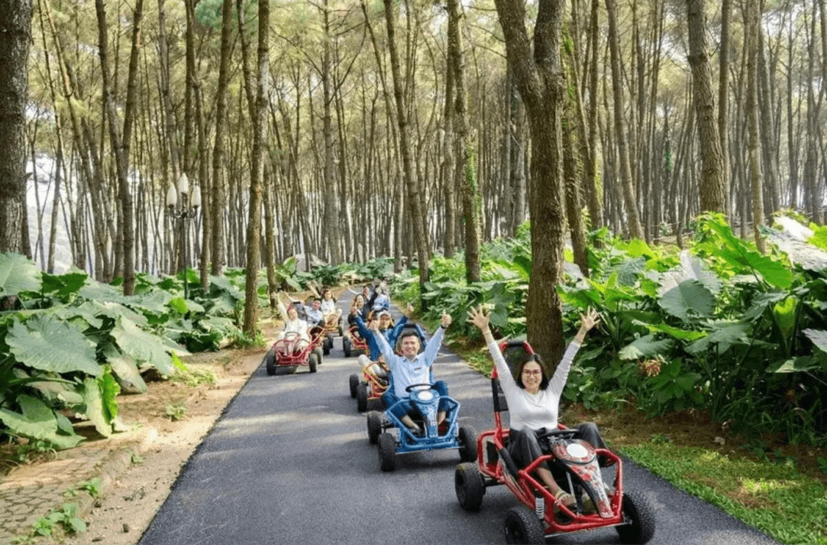 Đồi Thông Hồ Đồng Chương