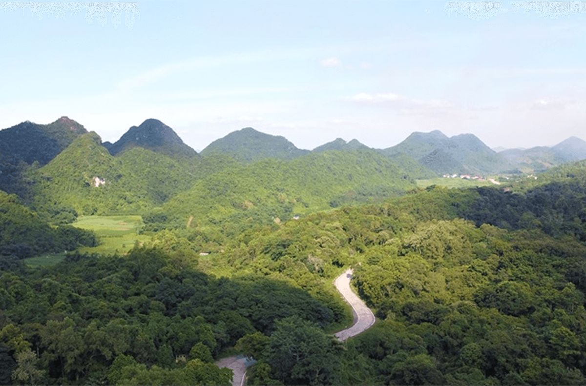 Khám Phá Các Trung Tâm Bảo Tồn Trong Rừng Vườn Quốc Gia Cúc Phương