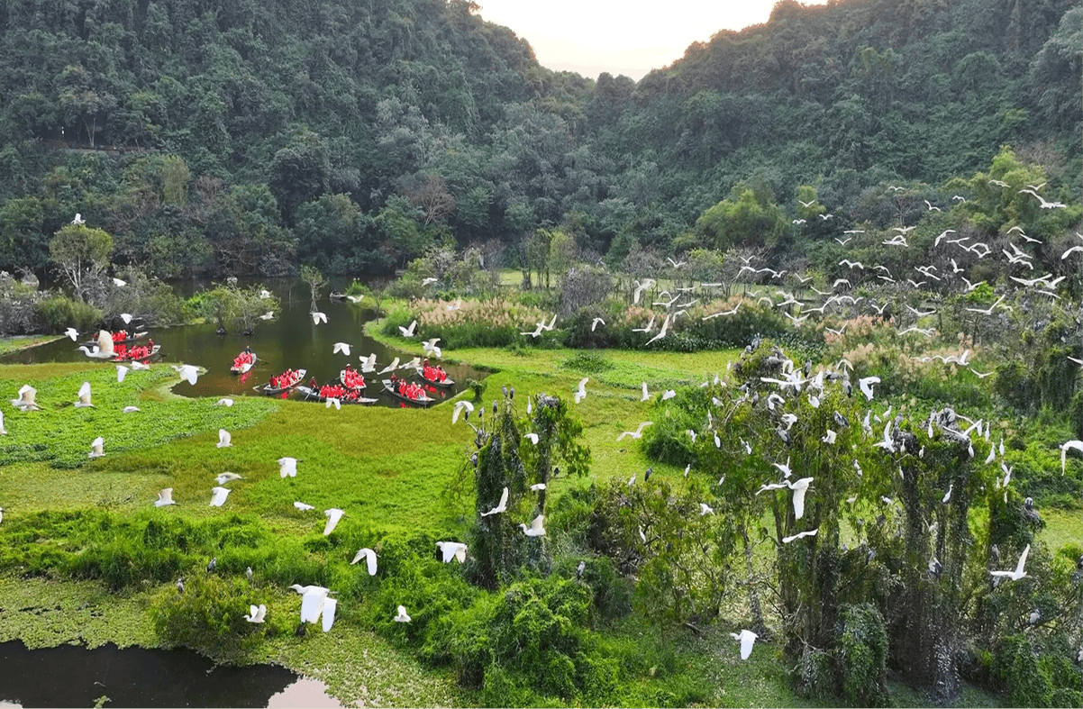 Khu du lịch sinh thái Thung Nham