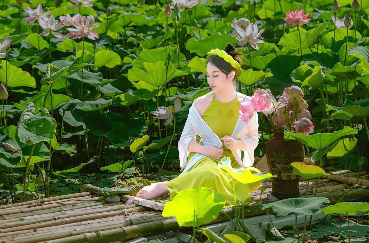 Mùa sen Hang Múa – “Đệ nhất sống ảo” giữa những ngày đông