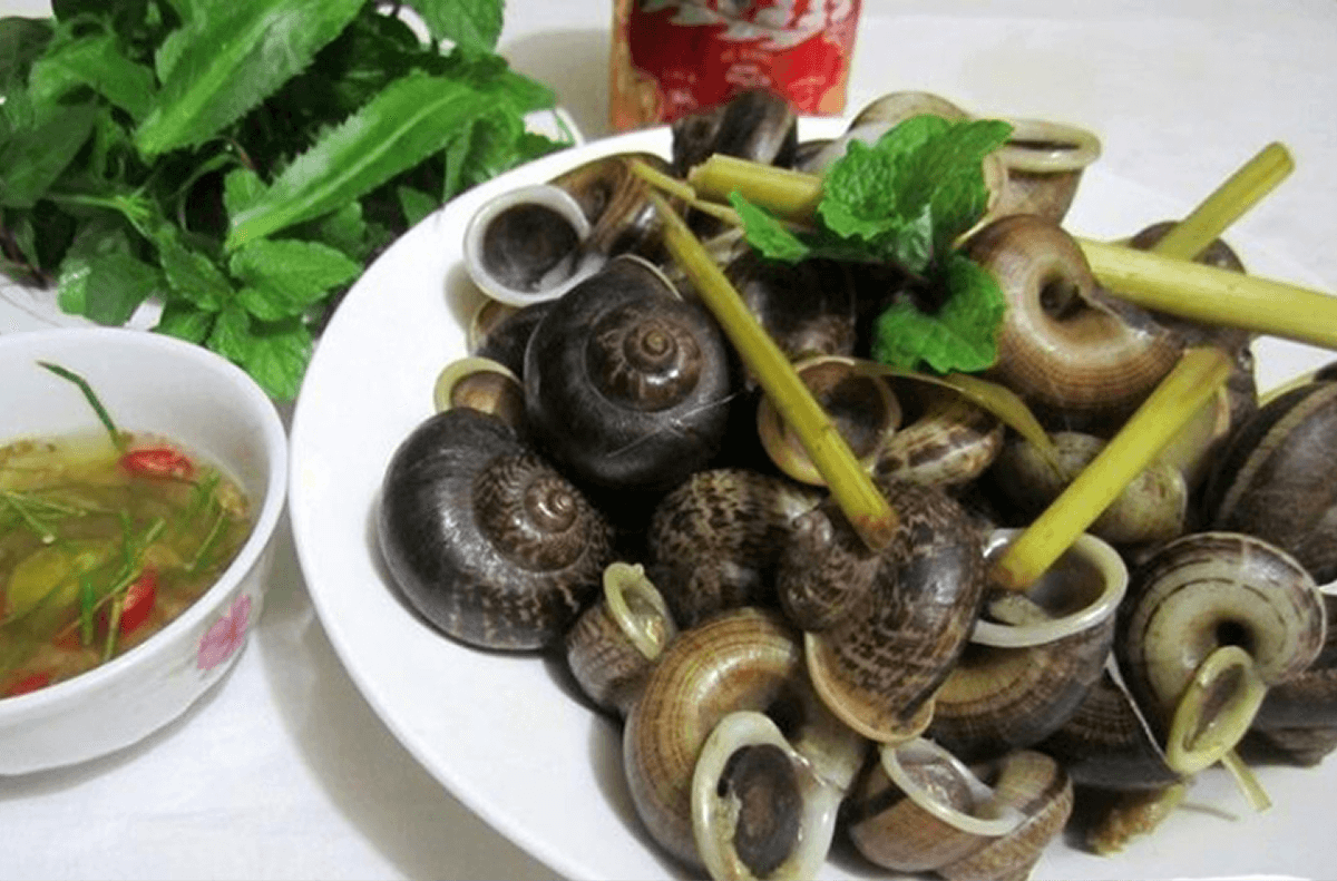 Ốc núi Ninh Bình