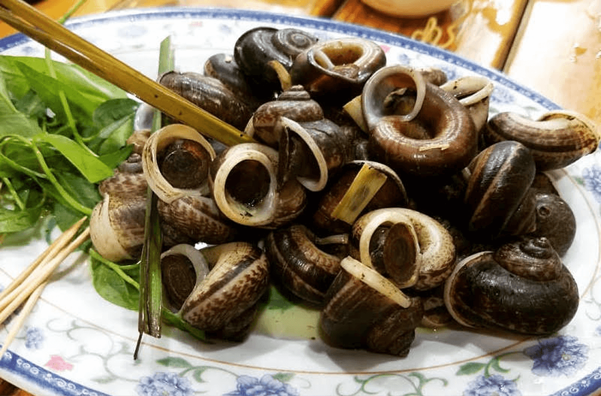 Ốc núi Ninh Bình