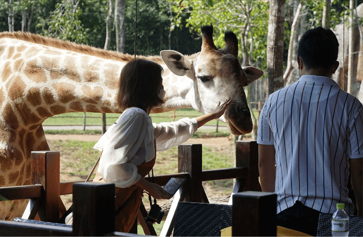 Quan Sát Động Vật Hoang Dã