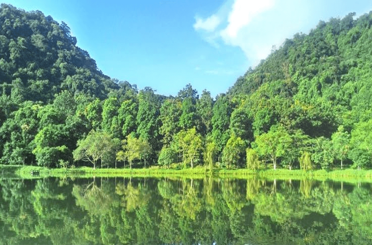 Thời Điểm Lý Tưởng Để Tham Quan