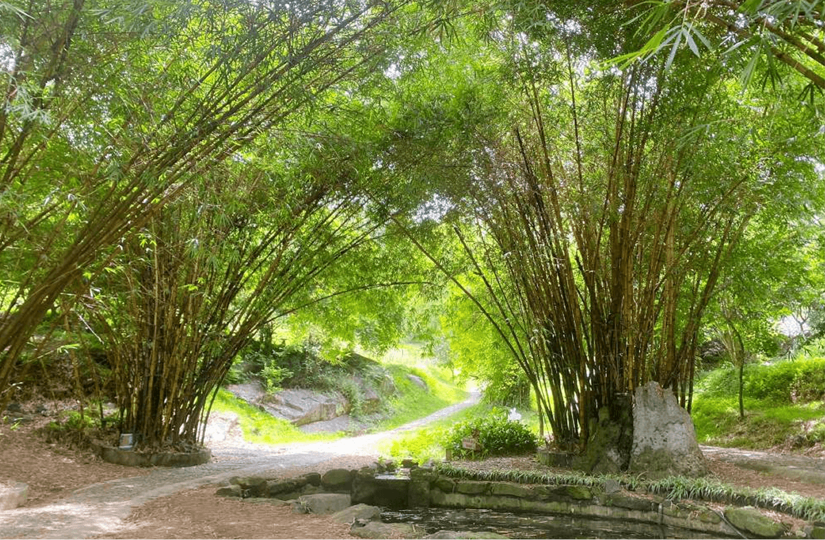 Thời Điểm Đẹp Nhất Ghé Thăm Khu Du Lịch Sinh Thái Núi Ngăm