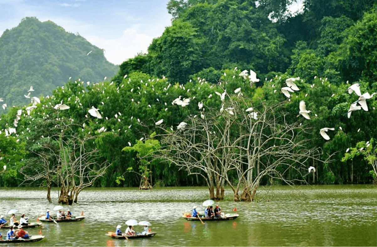 Thung Nham & Đam Khê