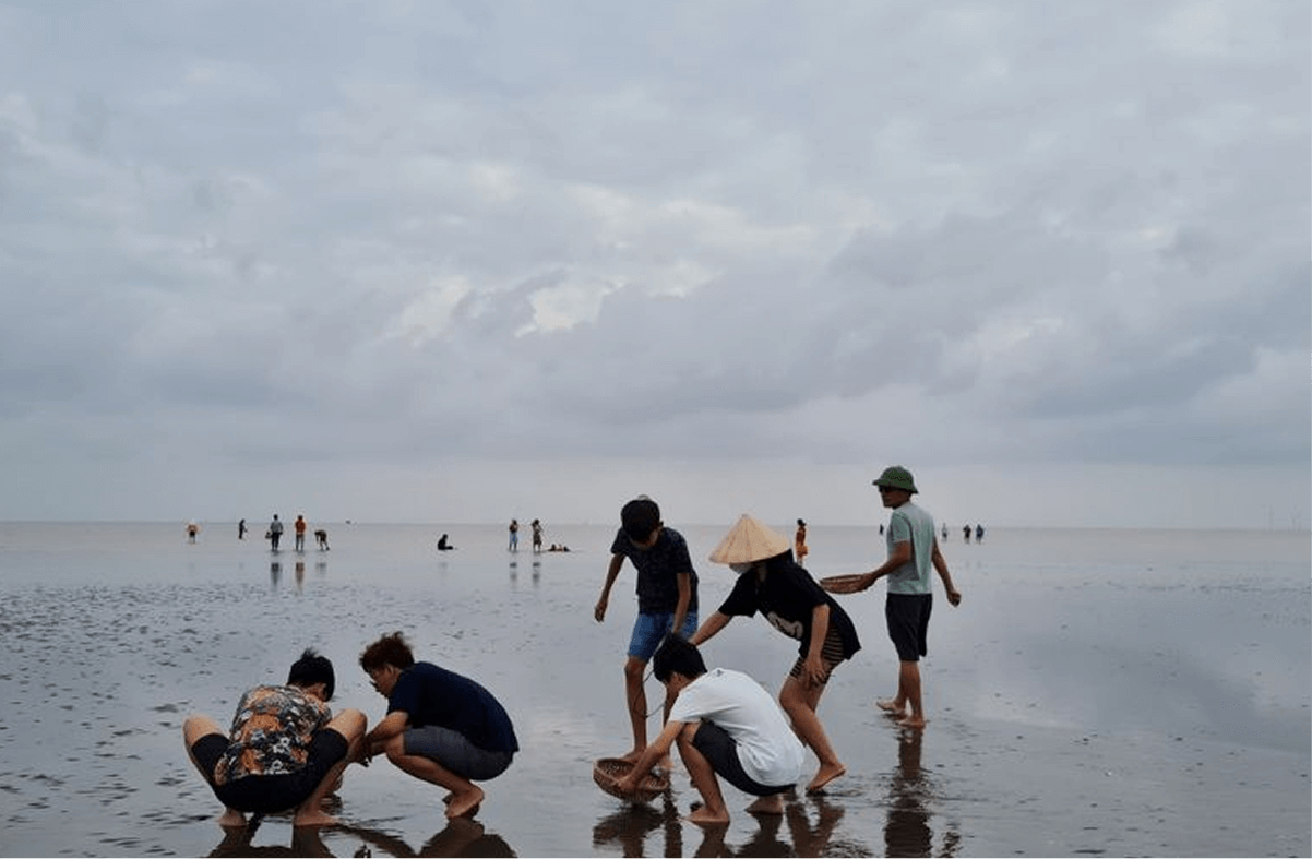 Trải nghiệm bắt cá, cào ngao cùng ngư dân tại Cửa Ba Lạt