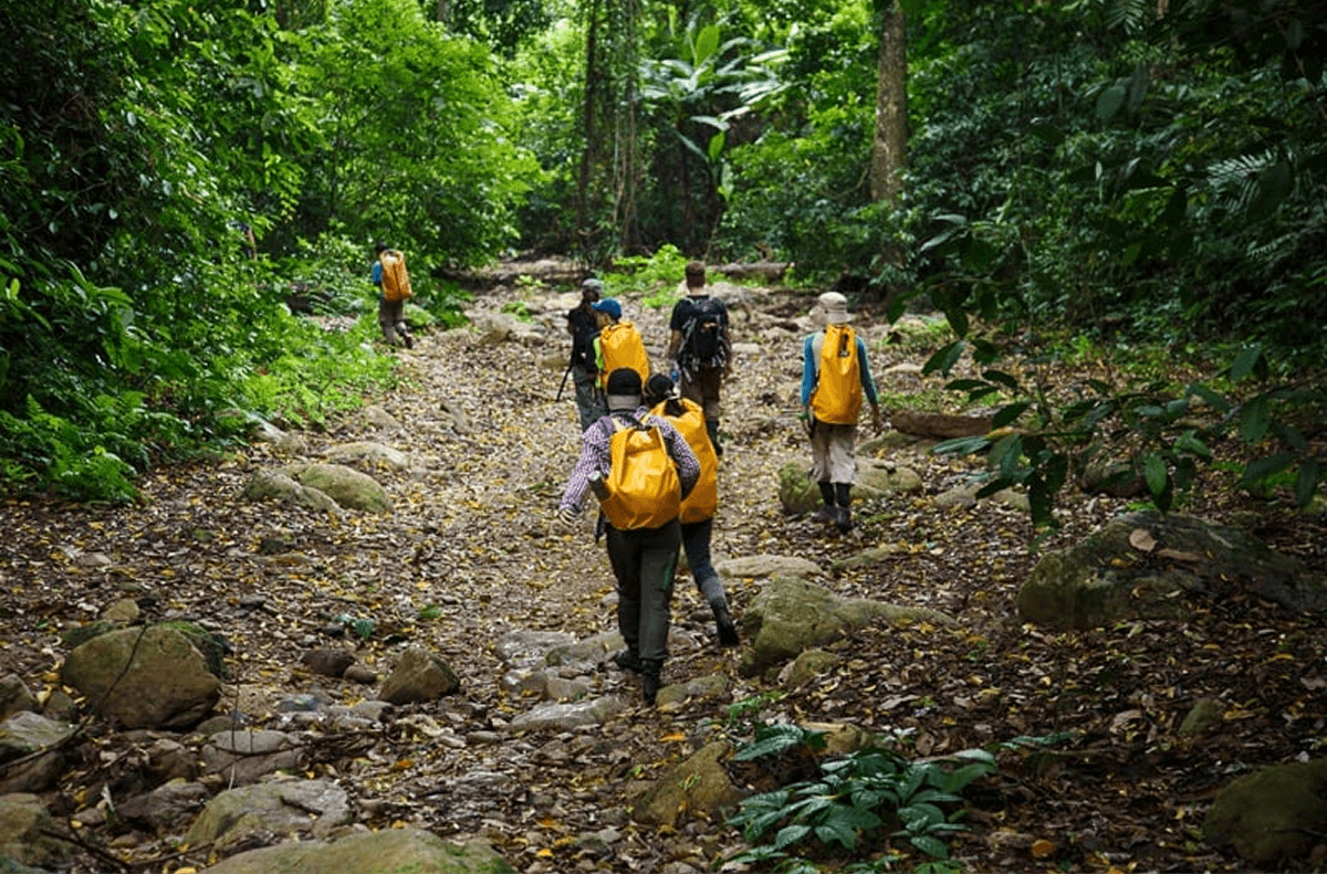 Trekking Vườn quốc gia Cúc Phương