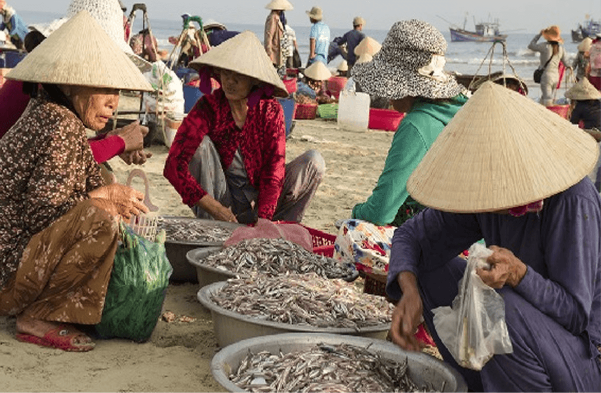 Tuyển Chọn Nguyên Liệu Tinh Túy Từ Biển Cả