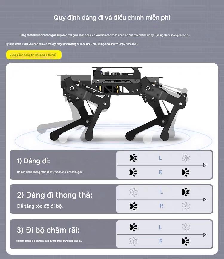 Chó Robot Huaner ROS Raspberry Pi Chó cơ khí bốn chân AI Vision Mô hình lớn Bionic Lập trình SLAM Lập bản đồ