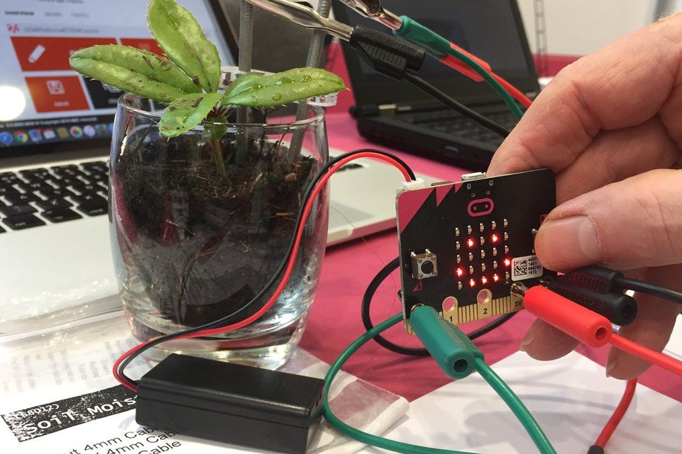 Microbit Kit học STEM cho trẻ em | Mạch BBC Microbit V2