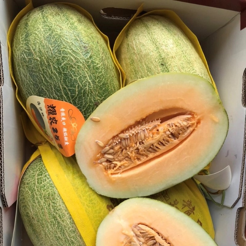 Dưa lưới Đài có hình dáng thuôn dài