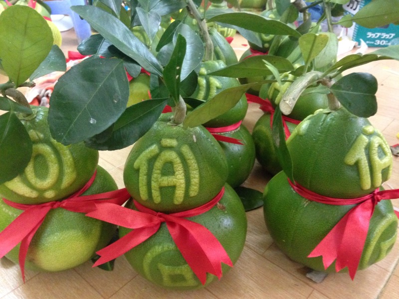 Bưởi hồ lô khắc chữ thư pháp