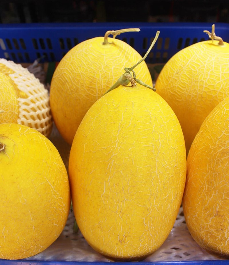 Dưa lưới của Trung Quốc thường có cuống màu xanh đậm