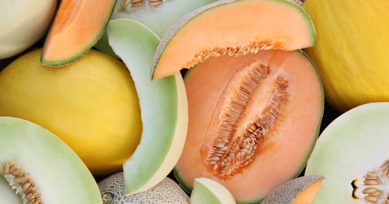 Chỉ nên mua dưa lưới ở địa chỉ uy tín để đảm bảo chất lượng và an toàn