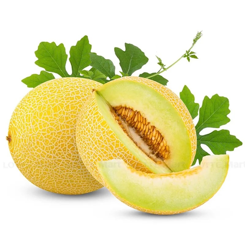 Dưa lưới vàng Hà Lan được ưa chuộng sử dụng