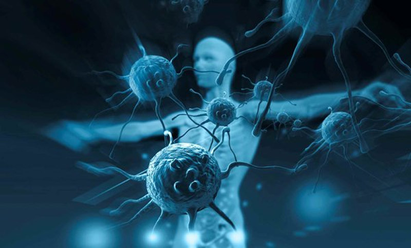 Các vitamin và khoáng chất trong dưa lưới giúp nâng cao hệ miễn dịch cơ thể