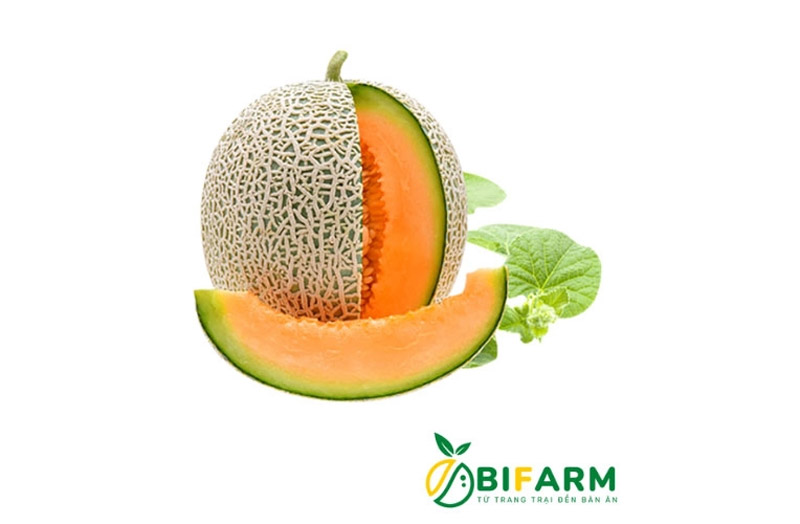 Dưa lưới TL3 là một trong các loại dưa lưới được nhập khẩu thuần chủng từ Nhật Bản