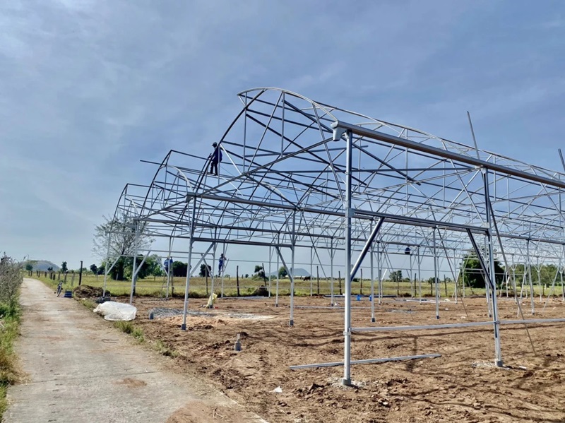 Chi phí nhà màng trồng dưa lưới là bao nhiêu?