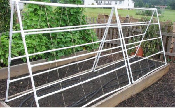 Giàn dưa lưới hình chữ A bằng chất liệu tre tự nhiên