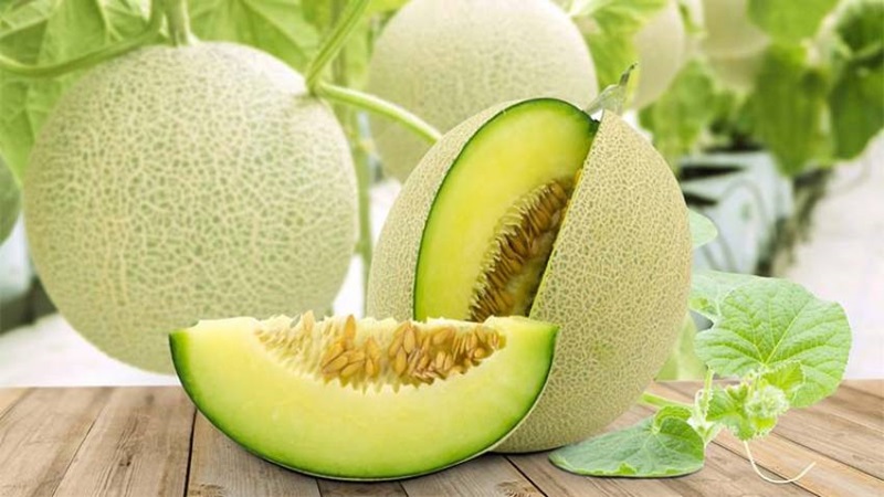 Dưa lưới ruột xanh