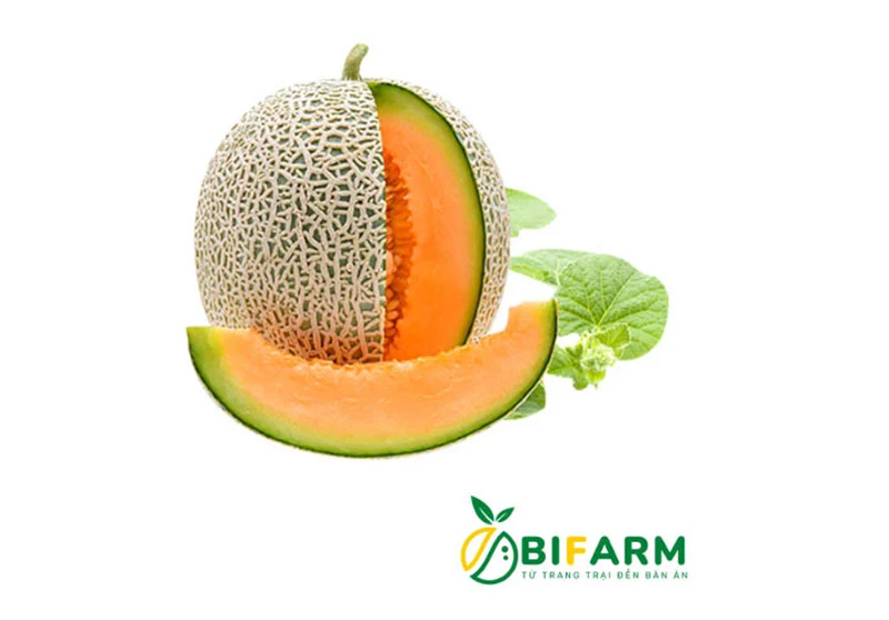 BiFarm mang đến cho người tiêu dùng những quả dưa chất lượng