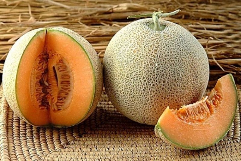 Lợi ích của dưa lưới đối với sức khỏe của trẻ nhỏ