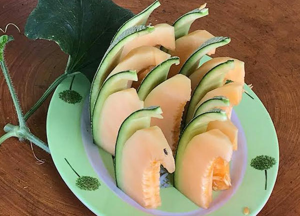 Cách trang trí dưa lưới đẹp mẫu 2