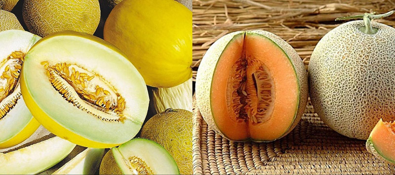 Dưa gang dưa lưới thường dễ bị nhầm lẫn