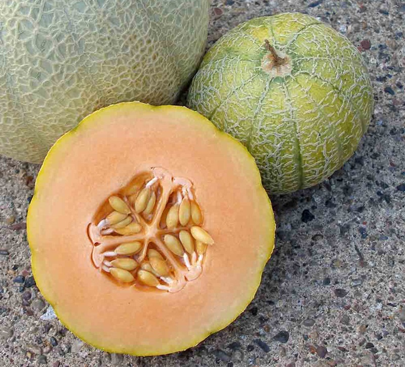 Dưa lưới có thịt quả màu vàng cam mọng nước