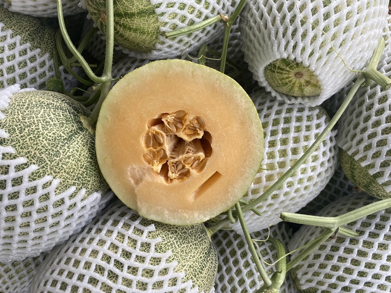 Giới thiệu dưa lưới Hạ Uyển thơm ngon, bổ dưỡng