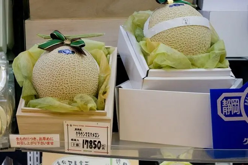 Dưa lưới Yabari King là loại trái cây có giá đắt đỏ và xa xỉ